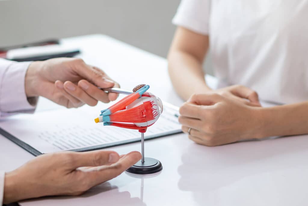 Ophthalmologist explaining an eye condition to a patient using a model of the human eye